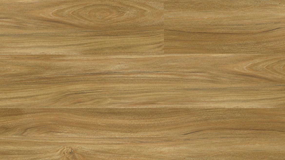 Apollo 1200 - Image 2