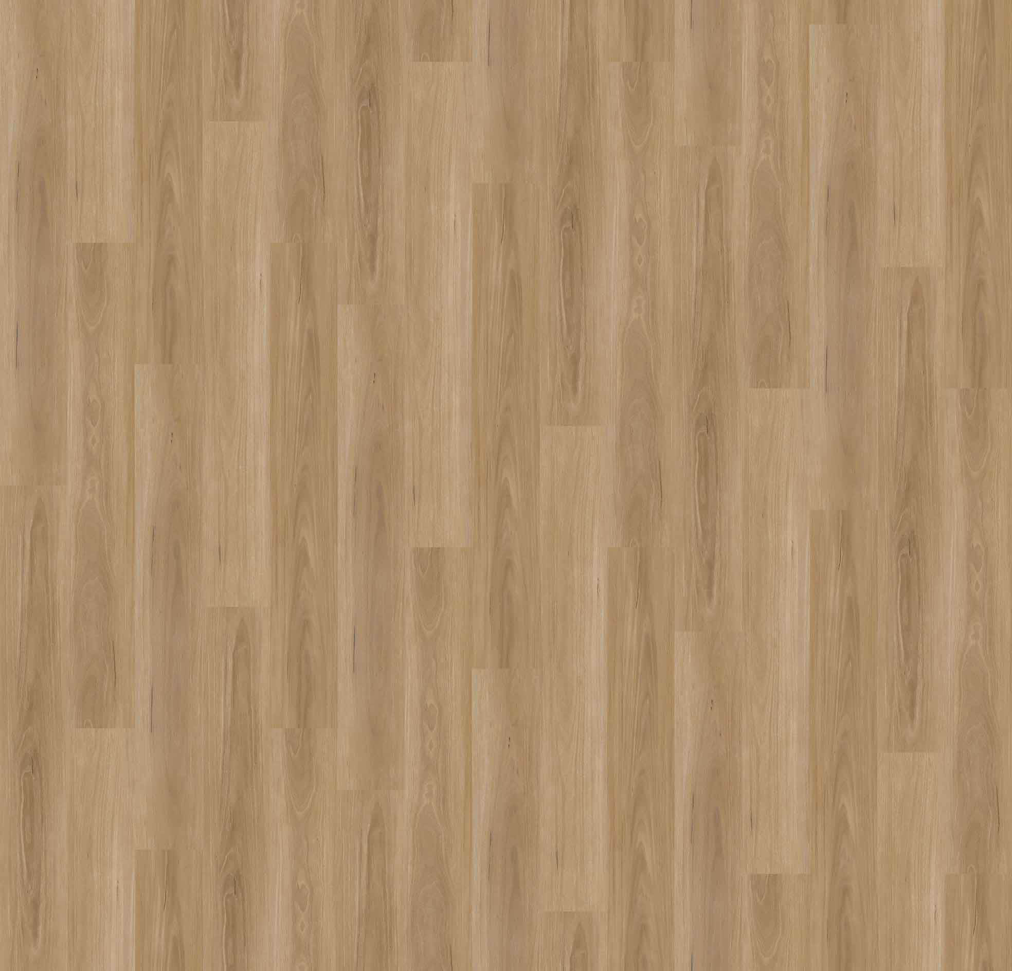 Naturale 5.0 - Image 2