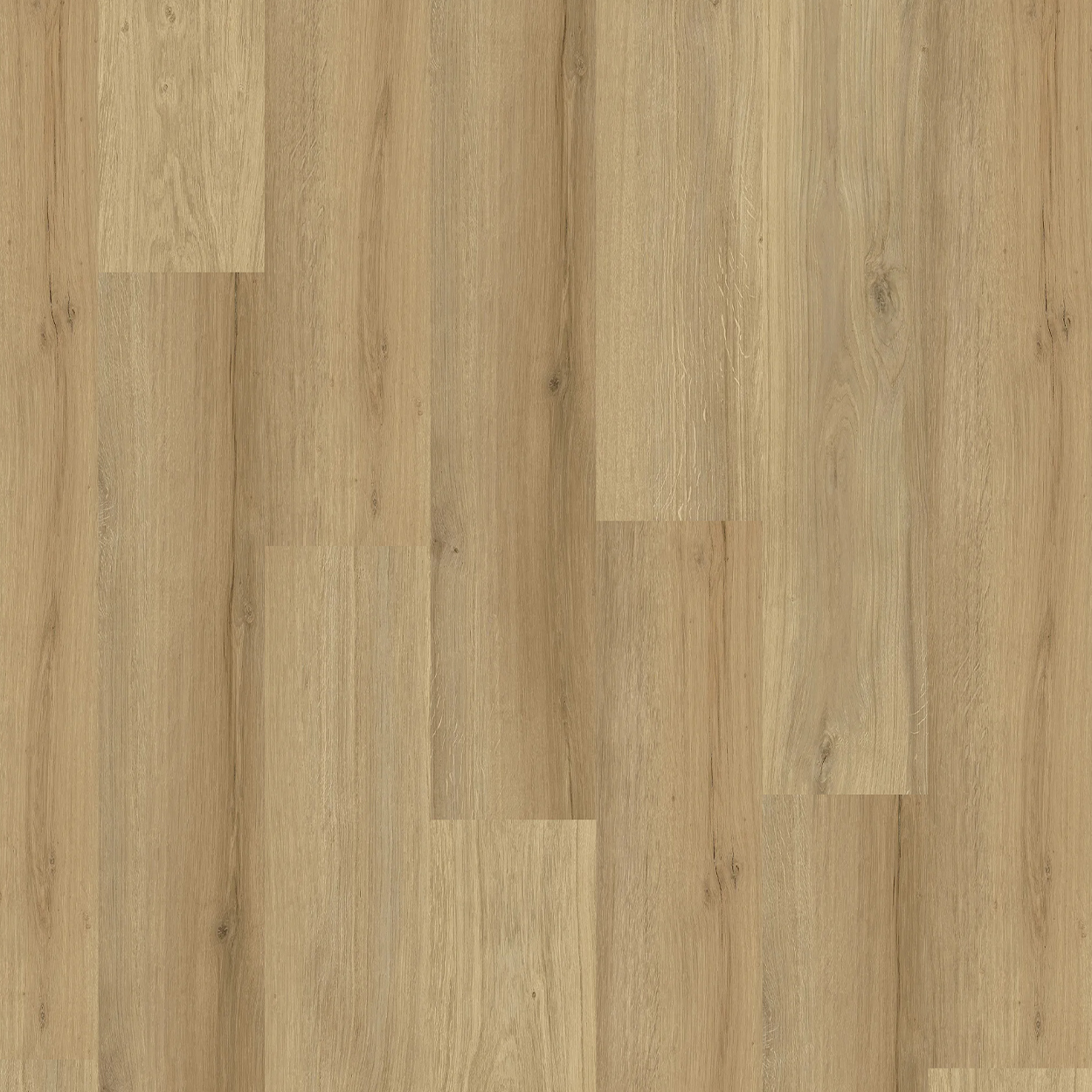 Metropol 1200 - Image 2