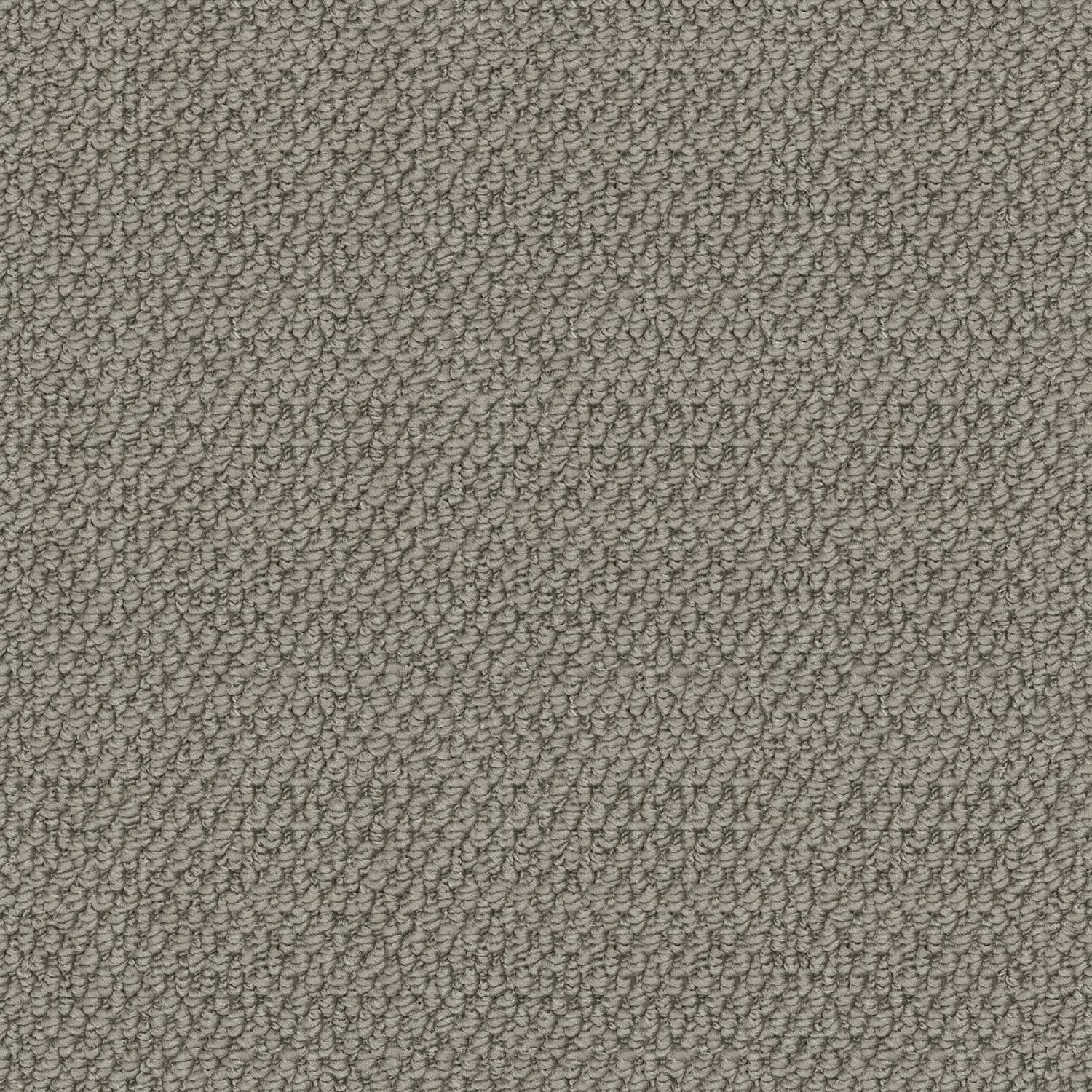 Forest Park - Image 2